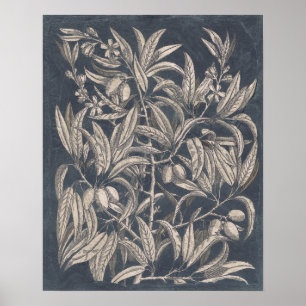 Póster Frutas y flores de cosecha I