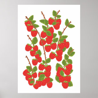 Póster Fruto de frambuesa