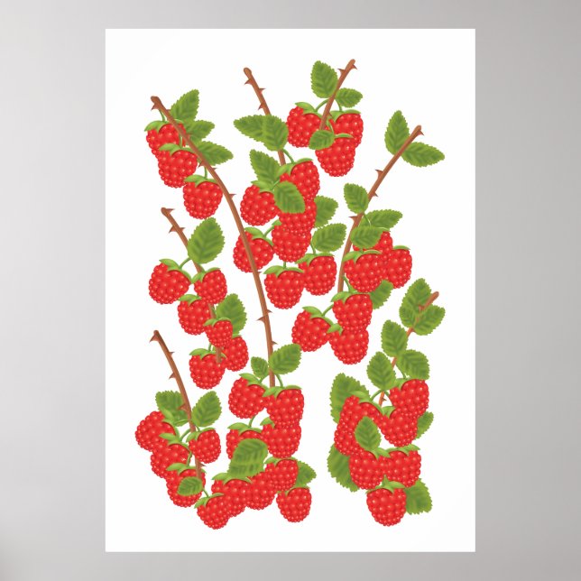 Póster Fruto de frambuesa (Frente)