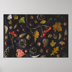 PÓSTER FRUTOS MUCHO EN LA SUPERFICIE NEGRA