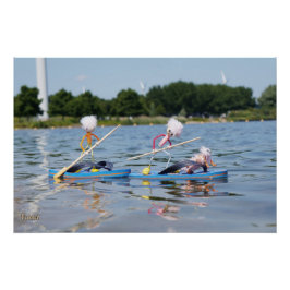 Póster Fubby's die een wedstrijdje Peddelboard doen.