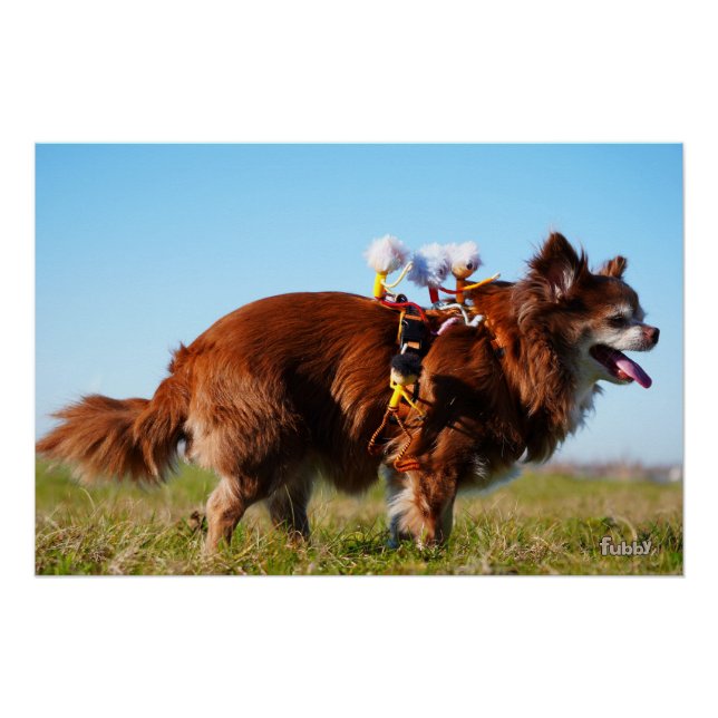 Póster Fubby's die paardrijden op hun honden vriendje. (Anverso)