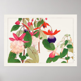 Póster Fuchsia, Flores rojas rosadas, Tanigami Konan,