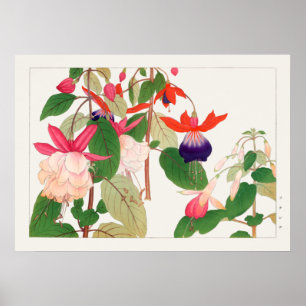 Póster Fuchsia, Flores rojas rosadas, Tanigami Konan,