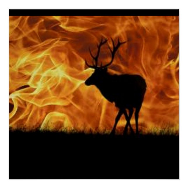 Póster Fuego en el cielo Caribou Silhouette (Anverso)