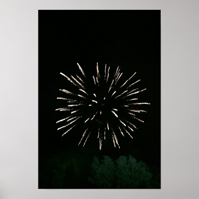 Póster Fuegos artificiales con árbol (Frente)