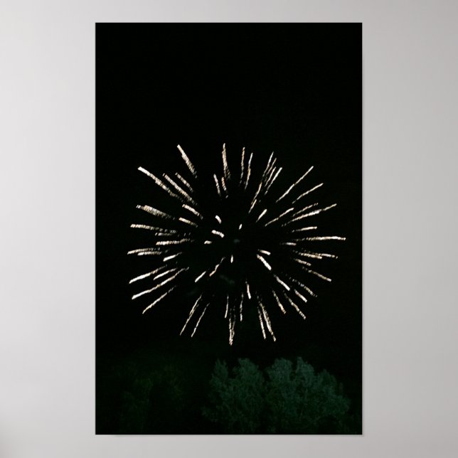 Póster Fuegos artificiales con árbol (Frente)