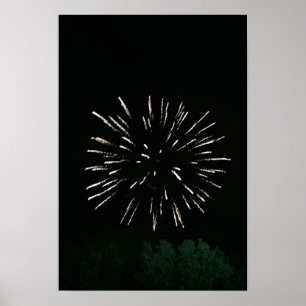 Póster Fuegos artificiales con el árbol