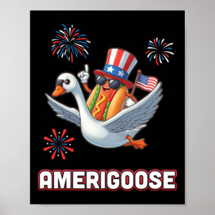 Póster Fuegos artificiales en Goose Independencia de EEUU