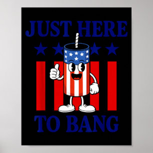 Póster Fuegos artificiales patrióticos humor de EE. UU. s