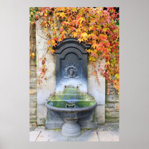 Póster Fuente de bebida en otoño, Hungría