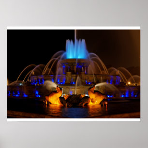 Póster Fuente de Buckingham