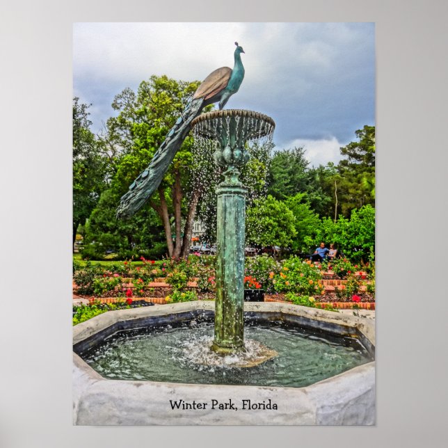 Póster Fuente de pavo real y jardín Rosa en Parque invern (Frente)