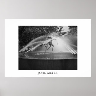 Póster Fuente de pulverización