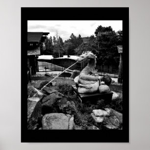 Póster Fuente Dragon