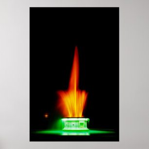 Póster Fuente Napier NZ