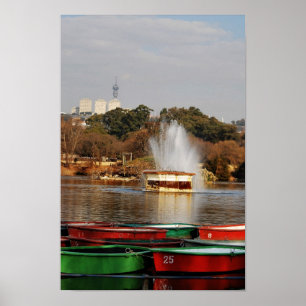 Póster Fuente Suráfrica del lago zoo