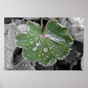 Póster fuerte lluvia