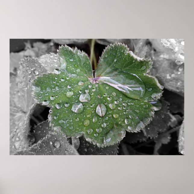 Póster fuerte lluvia (Frente)