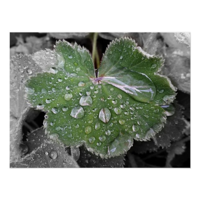 Póster fuerte lluvia (Anverso)