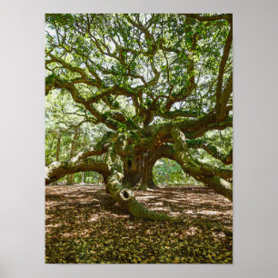 Póster Fuerte Y Audaz