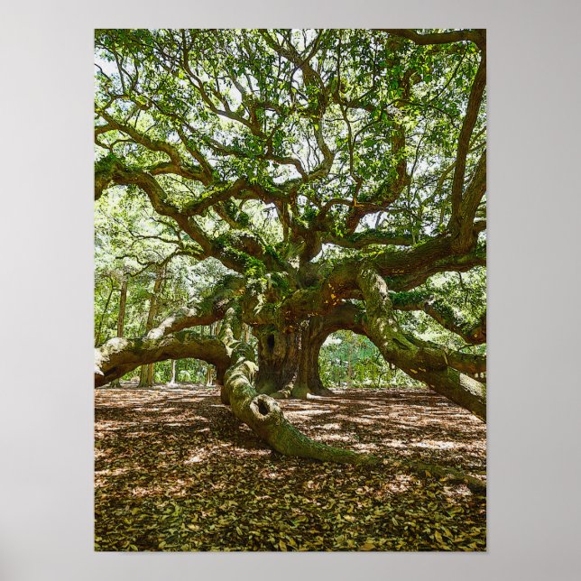 Póster Fuerte Y Audaz (Frente)