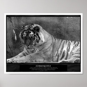 Póster Fuerza como cristiana