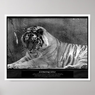 Póster Fuerza como cristiana