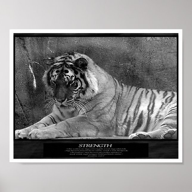 Póster Fuerza como cristiana (Frente)