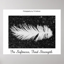 Póster Fuerza de TDGallery