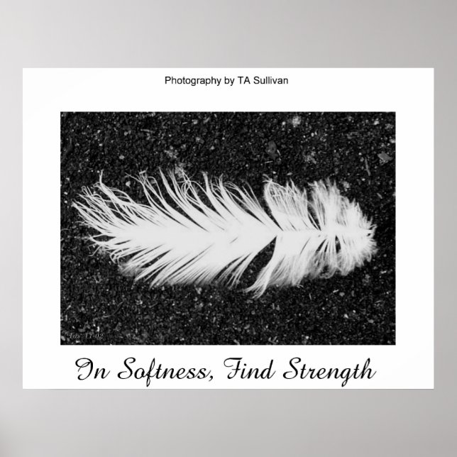 Póster Fuerza de TDGallery (Frente)