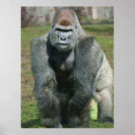 Póster Fuerza emergente - Lope the Silverback