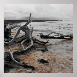 Póster Fuerzas Naturales del Lago Tyrrell