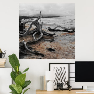 Póster Fuerzas Naturales del Lago Tyrrell