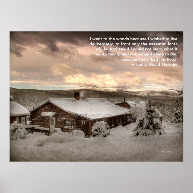 Póster Fui al Poster de Woods (Frente)