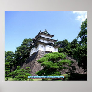 Póster Fujimi-yagura, Palacio Imperial, Tokio, Japón