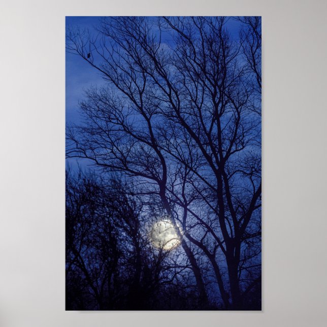 Póster Full moon and moonlight shining through trees (Frente)