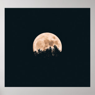 PÓSTER FULL MOON BEHIND A TREE SILHOUETTES