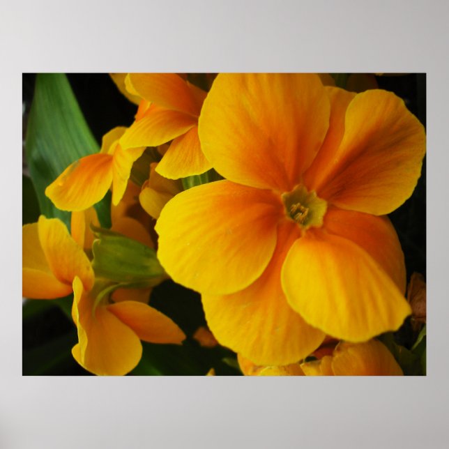 Póster full of sunshine (Frente)