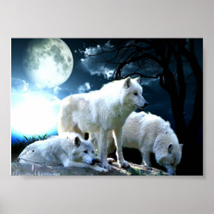 Póster Full Wolf Moon