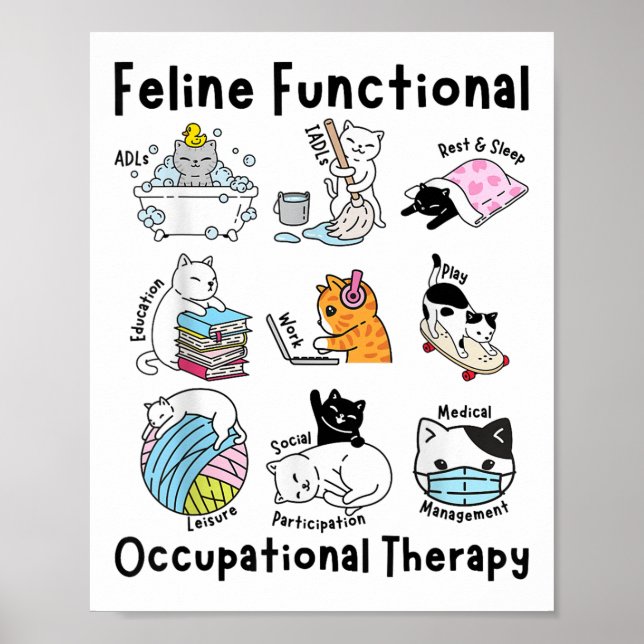 Póster Fun Fun Cat Funcional Terapia Ocupacional Sin (Frente)
