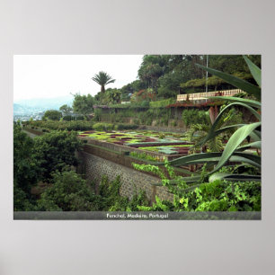 Póster Funchal, Madeira, Portugal