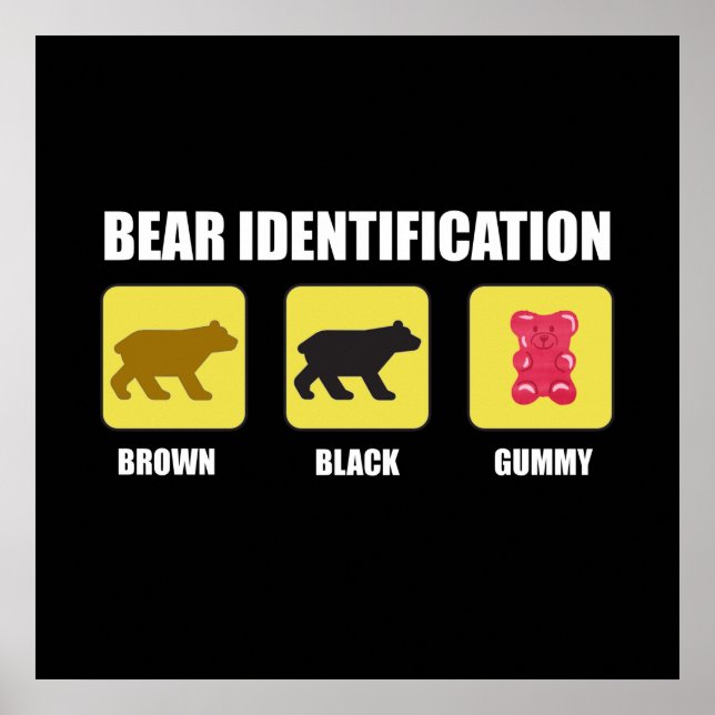 Póster Funcionalidad de identificación del oso (Frente)