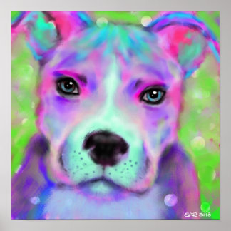 Póster Funky Pitbull poster