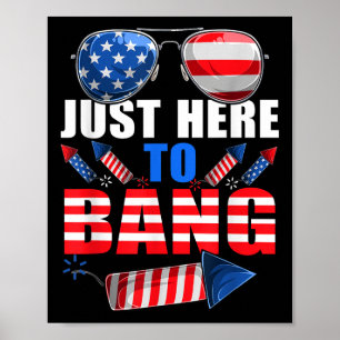 Póster Funny 4 De Julio Fuegos Artificiales De Sungles Es