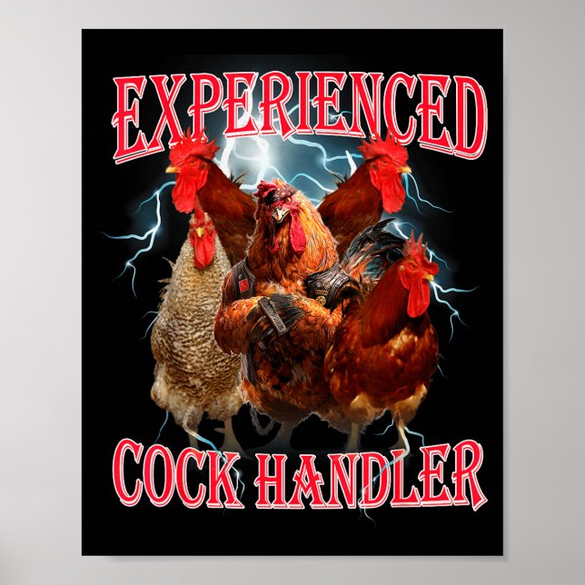 Póster Funny Adult Humor Experienced Handler Inappropriat (Frente)
