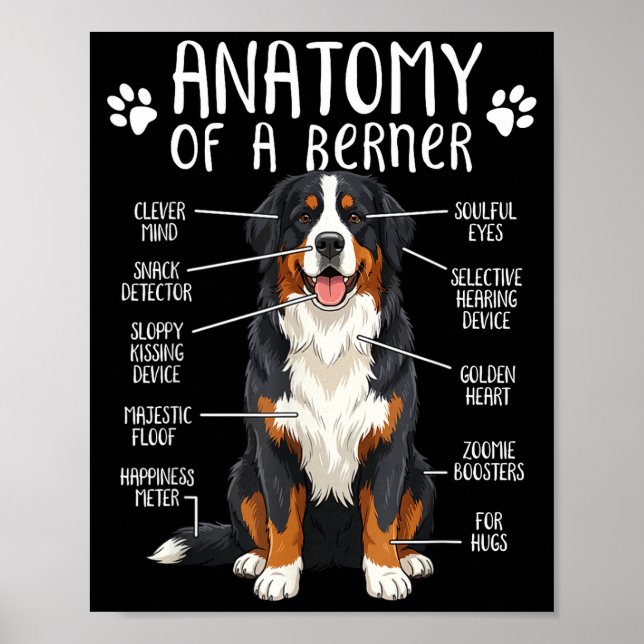Póster Funny Anatomy Bernese Mountain Dog Cute Berner Lov (Frente)