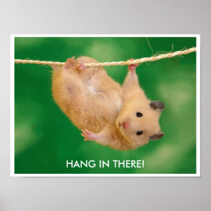 Póster Funny and Cute Hamster Poster