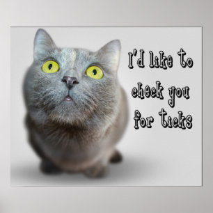 Póster Funny Animal Memes Cat Memes Humorous Photos