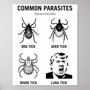 Póster Funny anti Trump parásito común Luna tick